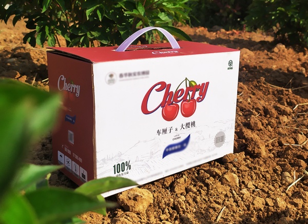 櫻桃、車?yán)遄佣Y盒